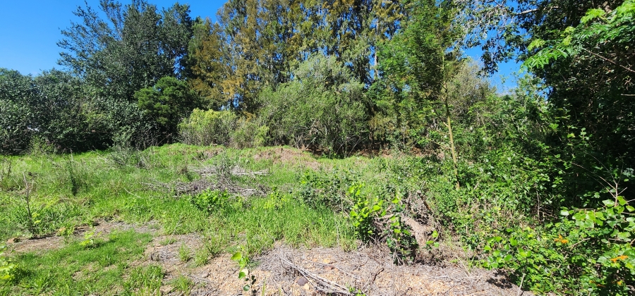 0 Bedroom Property for Sale in Swellendam Western Cape